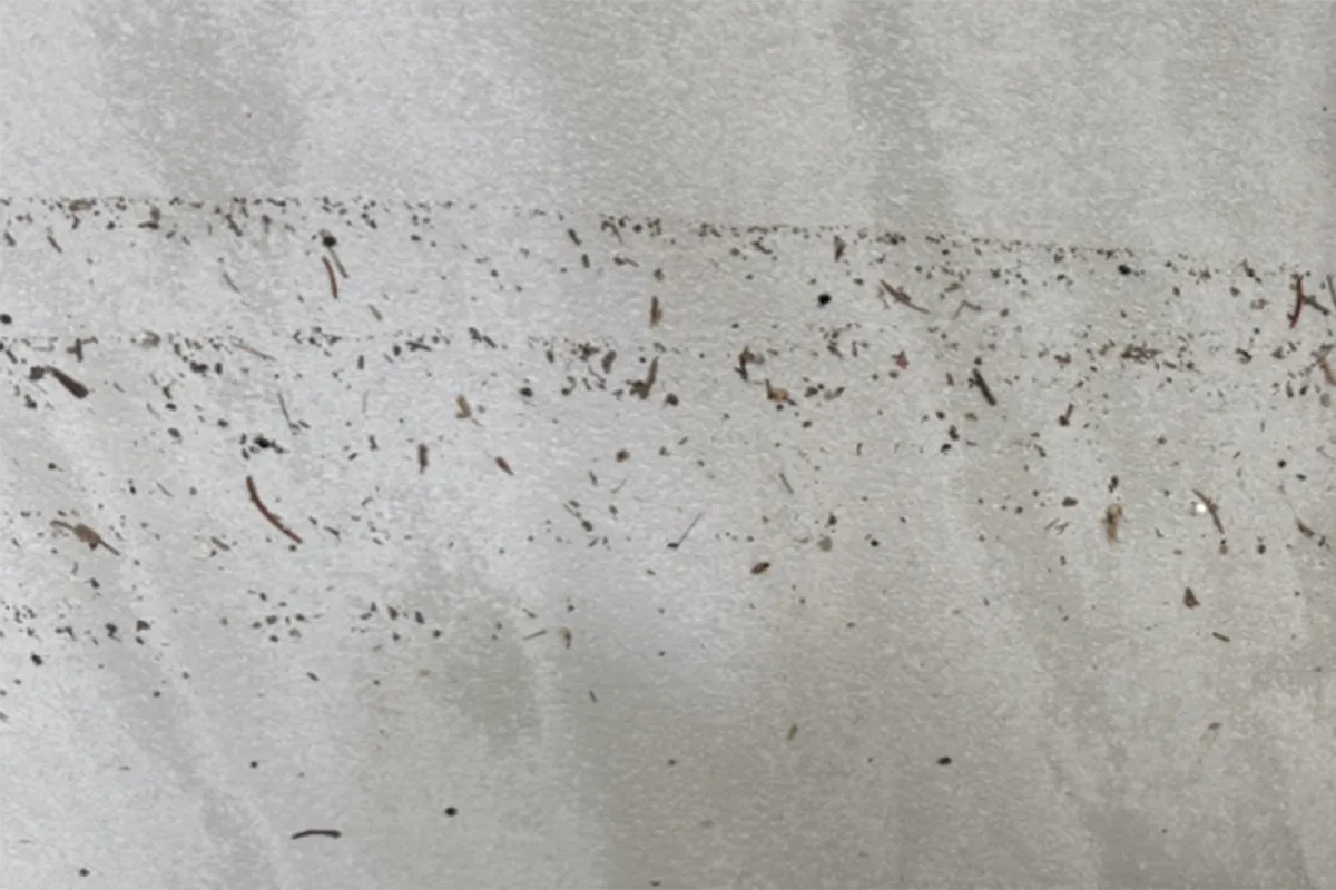 外壁の浸水線は見えるがメジャーがなく高さを証明できない悪い撮影例