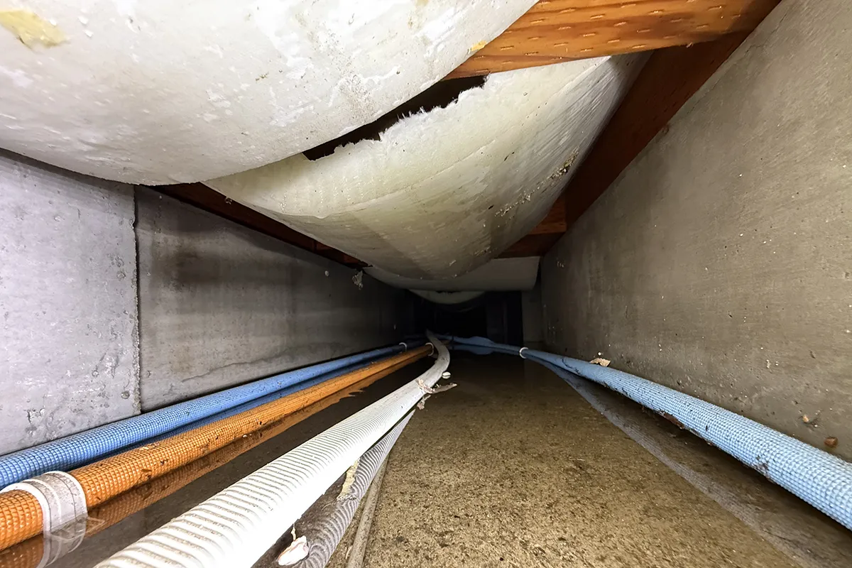 水を吸って変色・垂れ下がった床下の断熱材。交換が必要な被害状況