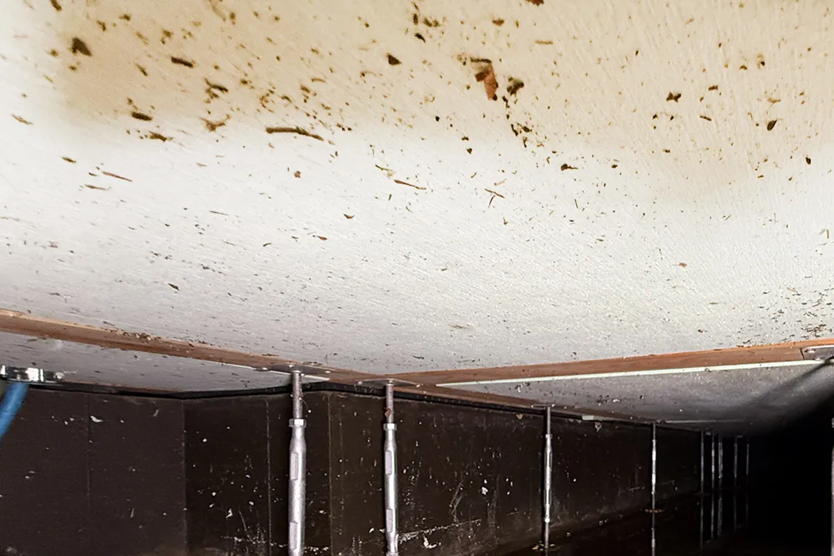 床下内部の浸水到達範囲。奥までどこまで水が来たかがわかる