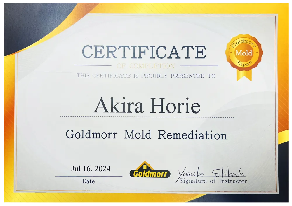 Goldmorr