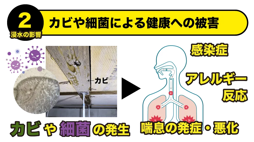 カビや細菌による健康への被害