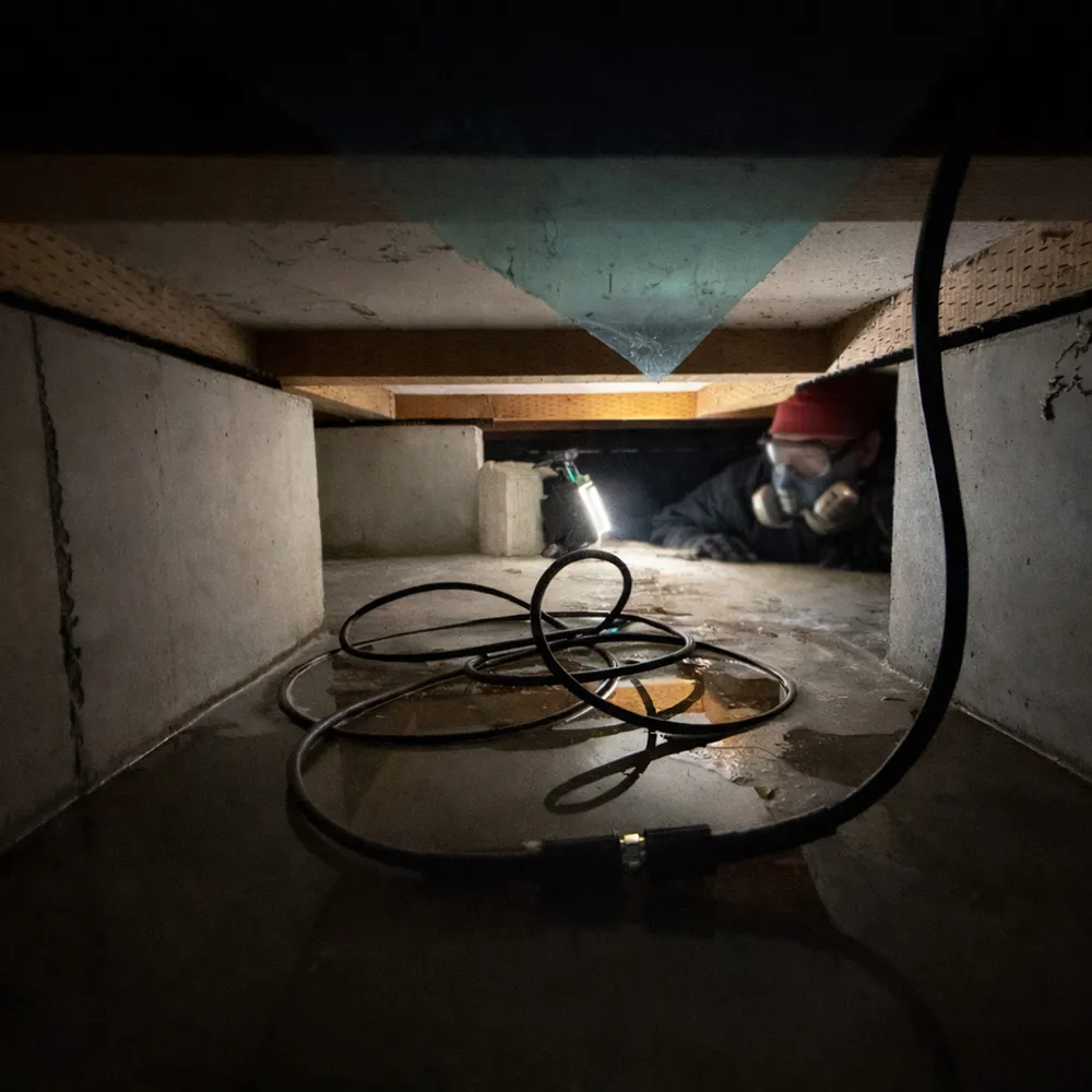 アクサムの現場作業員が床下で専門的な調査を実施している様子