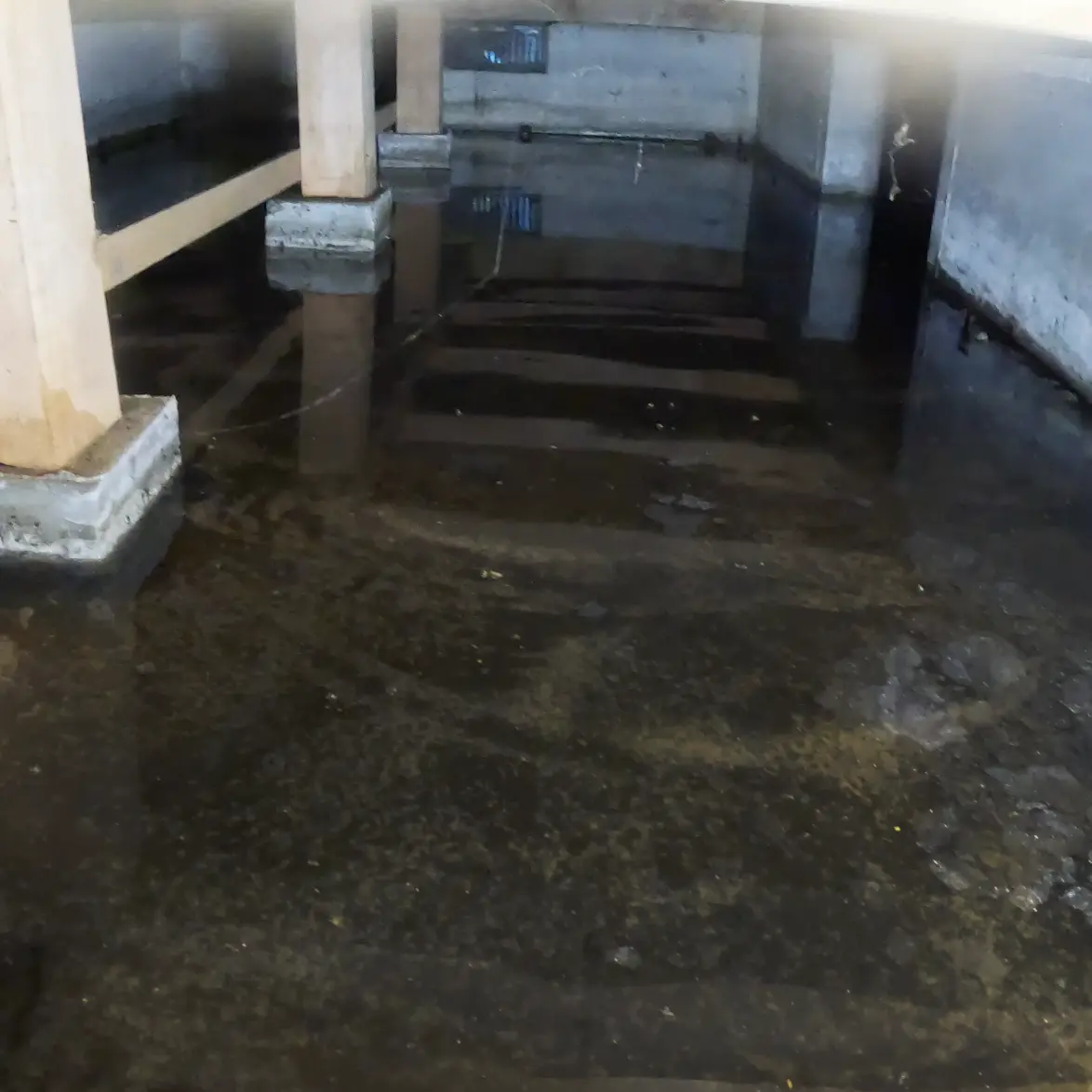 床下点検口からも確認できる浸水被害の様子。点検口を開けたコバエが飛び交う状況でした。