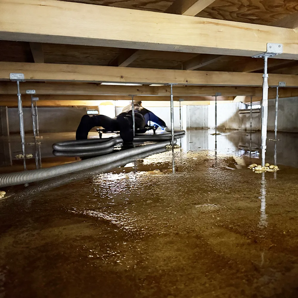 川口市の別事例（2024年09月20日）