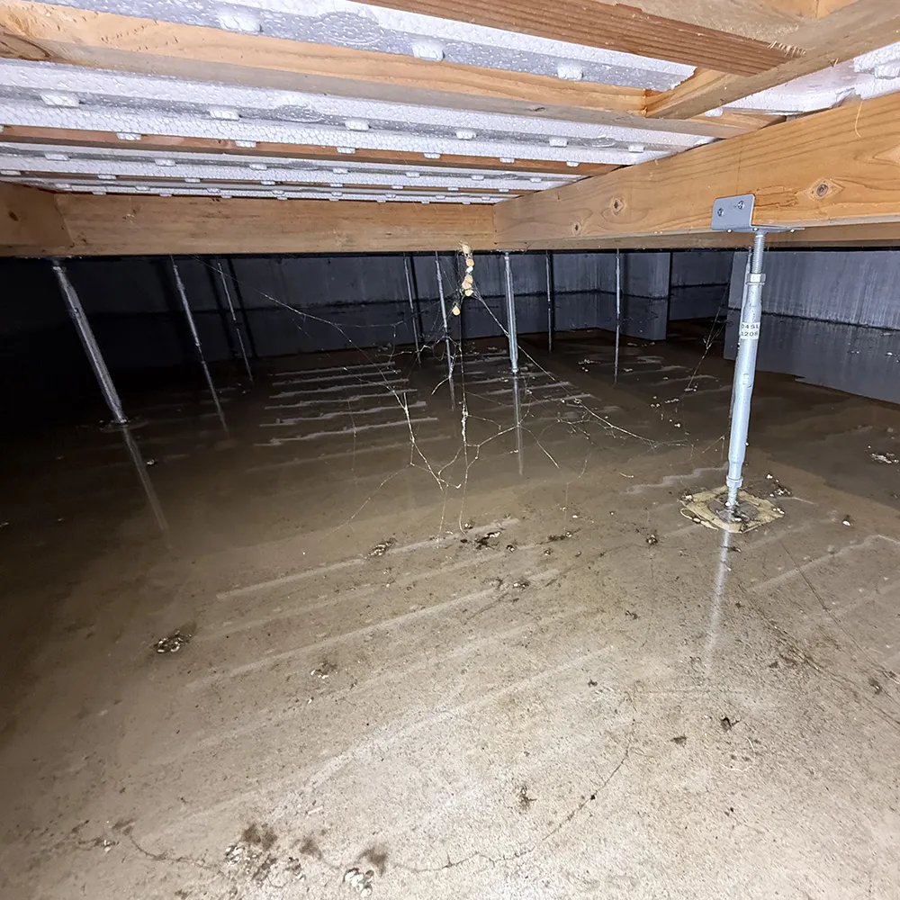 施工前：洗濯機給水管漏水により床下全域が浸水している状態